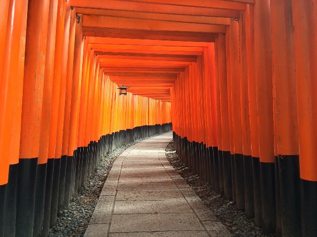 טיול ליפן קיוטו, מקדש פושימי אינרי