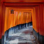 טיול ליפן, שערי טורי במקדש פושימי אינארי, קיוטו