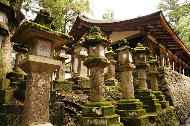 טיולים ביפן מקדש קאסוגה טאישה Kasuga Taisha
