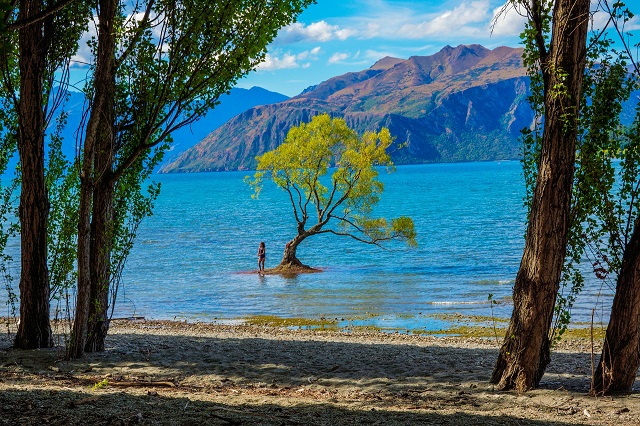 אגם וואנקה, טיול לניו זילנד