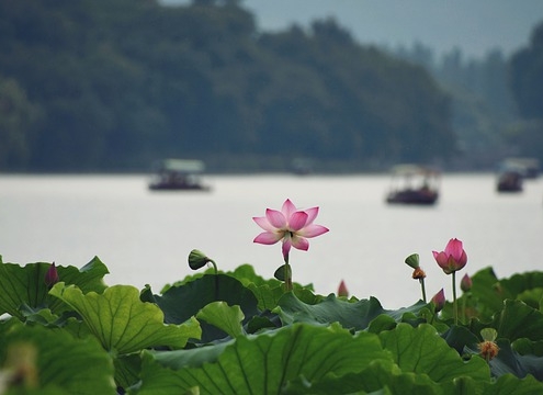 סירות על האגם המערבי, האנגג'ו