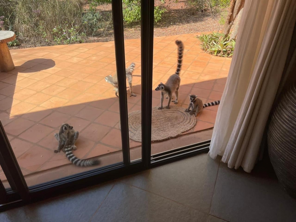 טיול למדגסקר- אורחים במלון